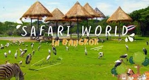 SAFARI WORLD BANGKOK (Package - A - Safari Park + Marine Park + Buffet Lunch Ticket) PRIVATE PICK UP AND DROP BANGKOK HOTEL